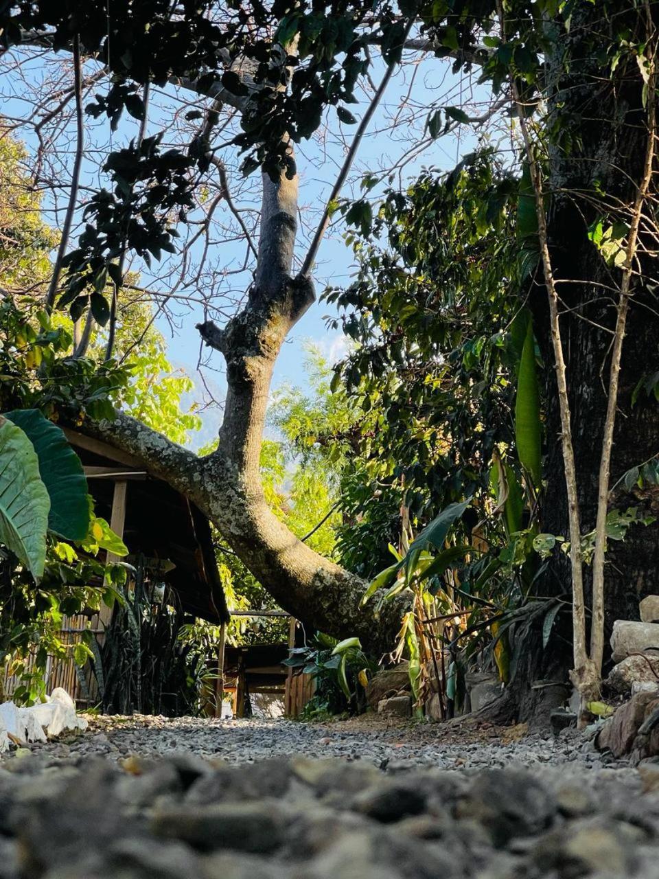 Posada Mana San Juan La Laguna Kültér fotó