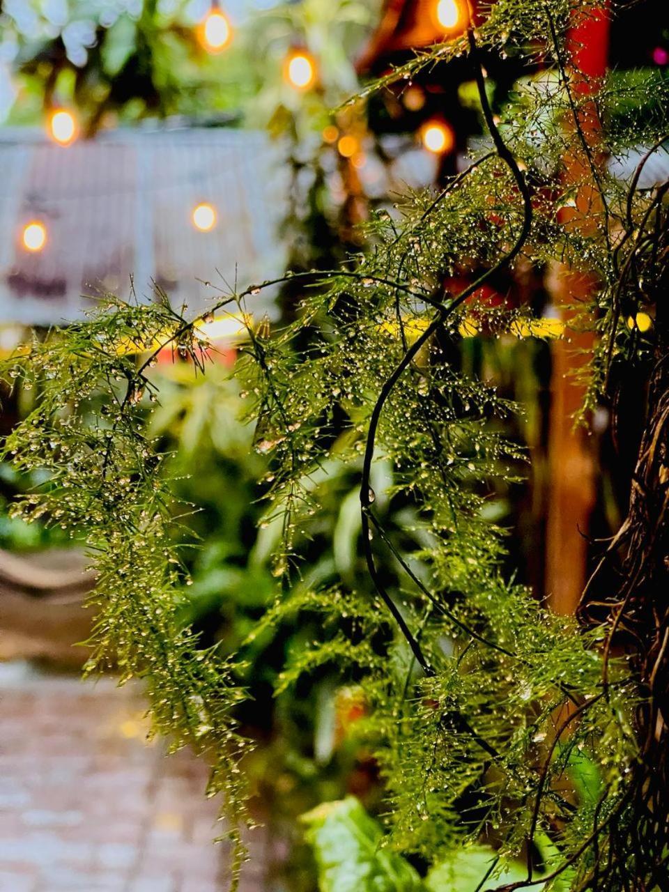 Posada Mana San Juan La Laguna Kültér fotó